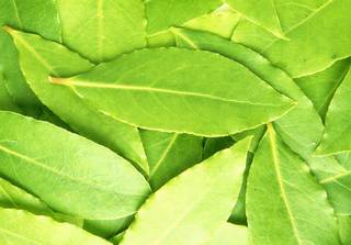 Эффективные маски для густоты волос