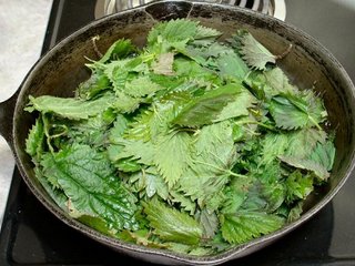 как сделать отвар из крапивы