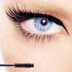 Претенденты на звание лучшей туши 2013