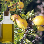 Аргановое масло для волос — применение, советы и отзывы