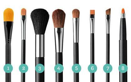 Основные виды кистей для макияжа: в чём их различия? Кисти для макияжа