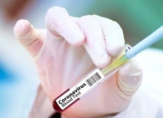 Более 20 тысяч волонтеров согласились заразиться схожими с COVID-19 вирусами за 4,4 тысячи долларов