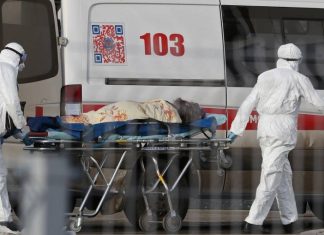 Число случаев заражения коронавирусом выросло в России до 306