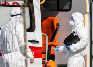 Число заразившихся коронавирусом в России возросло до 114 человек