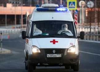 Число заразившихся коронавирусом в России выросло до 658