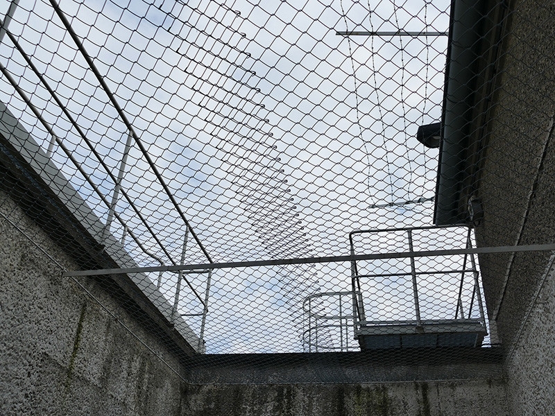 Государства массово освобождают заключенных перед эпидемией коронавируса в тюрьмах, однако Россия это делать не торопится