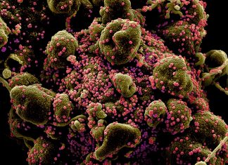 Как распространяется коронавирус: The Washington Post опубликовала на русском языке статью про математические симуляции заражения