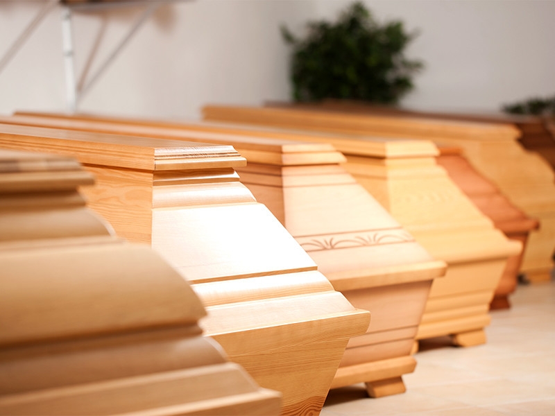 США, ФРГ, Британия, Россия готовятся к мору, подсчитывая, сколько погибнет от коронавируса: худший сценарий - 40 млн в 2020 году