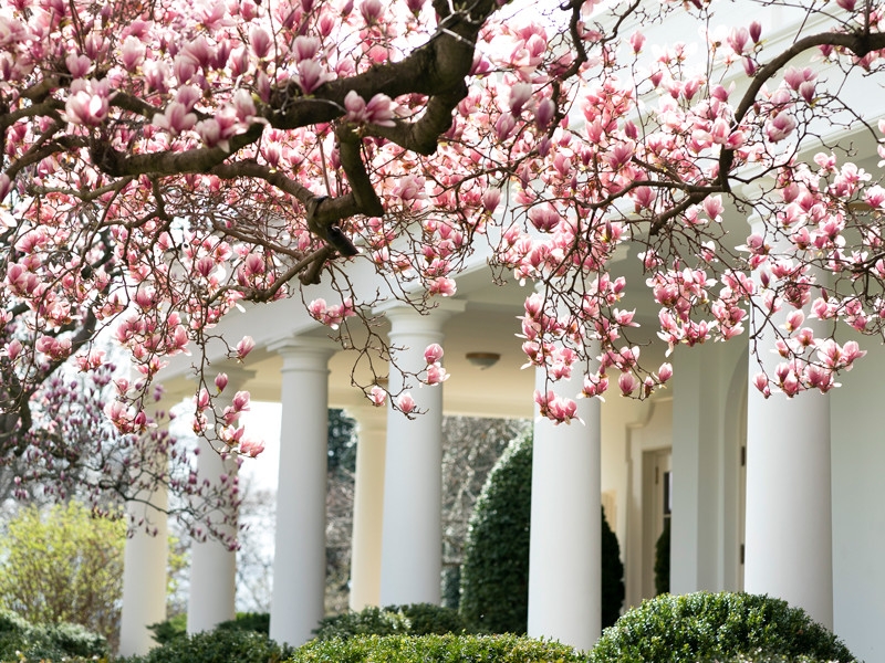 Трамп надеется, что вспышка коронавируса в США закончится до конца лета