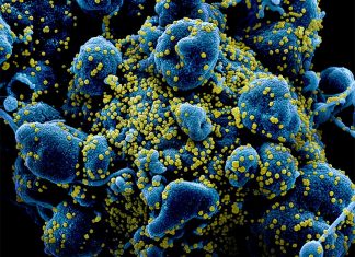 В Германии запретят собираться больше двух человек из-за пандемии