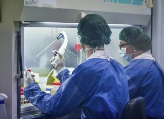 В Италии категорически отвергли лабораторное происхождение коронавируса