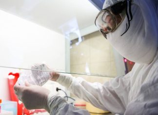 В Новосибирске зарегистрировали новую тест-систему для диагностики коронавируса