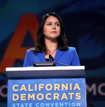 Ветеран войны в Ираке Тулси Габбард прекратила борьбу за выдвижение в президенты США