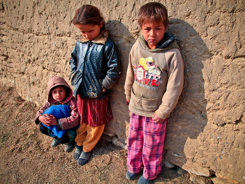 "Десять казней египетских": вслед за пандемией коронавируса 2020 год обещает миру пожары, потоп, неурожай и нашествие саранчи