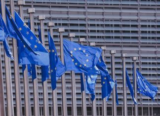 Десять стран ЕС заявили об ограничении прав человека из-за пандемии