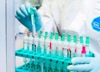 Китайцы ввозят коронавирус в Северный Китай из России