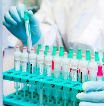 Китайцы ввозят коронавирус в Северный Китай из России