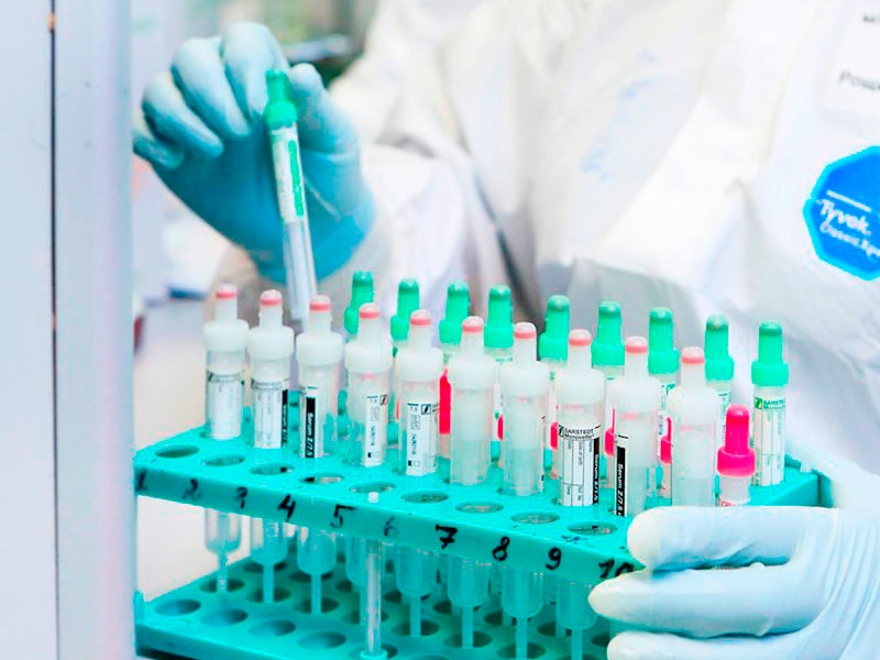 Китайцы ввозят коронавирус в Северный Китай из России