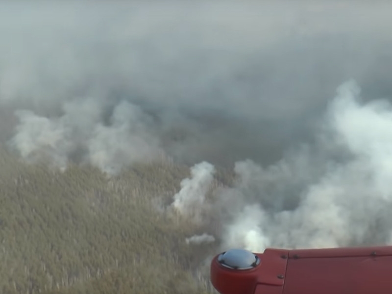 На Украине полиция нашла виновника пожара в чернобыльской зоне