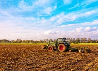 ООН и ВТО предупредили об опасности продовольственного кризиса в мире