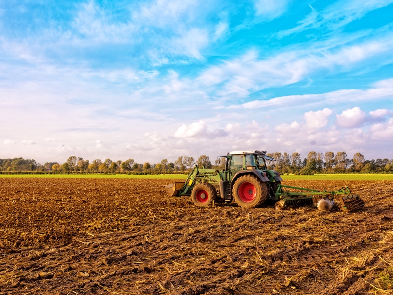 ООН и ВТО предупредили об опасности продовольственного кризиса в мире