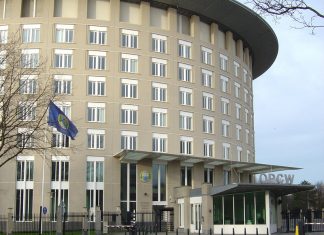 ОЗХО обвинила сирийские власти в применении химоружия в марте 2017 года