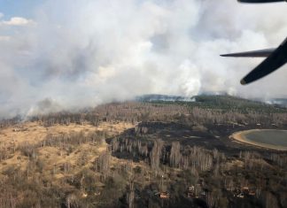 Пожары в Чернобыльской зоне отчуждения: радиационный фон повышался в 16,5 раз (ВИДЕО)
