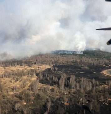Пожары в Чернобыльской зоне отчуждения: радиационный фон повышался в 16,5 раз (ВИДЕО)