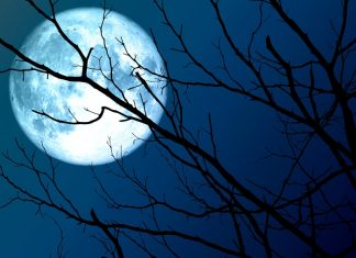 Предстоящей ночью можно будет наблюдать самую большую Луну 2020 года