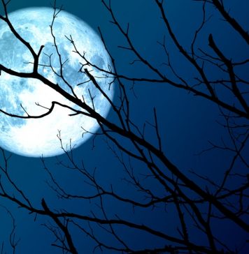 Предстоящей ночью можно будет наблюдать самую большую Луну 2020 года