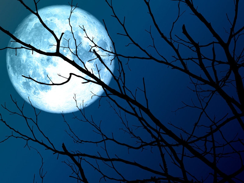 Предстоящей ночью можно будет наблюдать самую большую Луну 2020 года