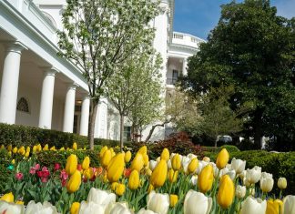 Разведка США сочла заниженными данные Китая по заболевшим от коронавируса