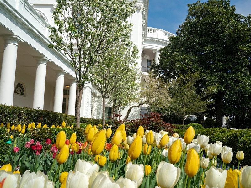 Разведка США сочла заниженными данные Китая по заболевшим от коронавируса