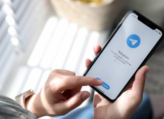 Справороссы направили в кабмин законопроект, запрещающий блокировку Telegram