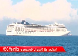 Три последних круизных лайнера, не затронутых COVID-19, высадят пассажиров на берег после нескольких недель без суши