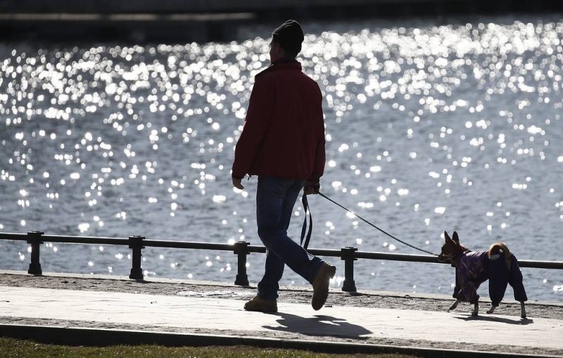 В Гидрометцентре сообщили, что в регионах юга России ожидаются аномальные холода