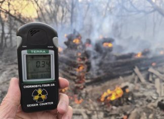 В МЧС России заявили, что радиационный фон после пожаров в Чернобыле находится в норме