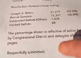 Байден победил на первичных выборах на Гавайях