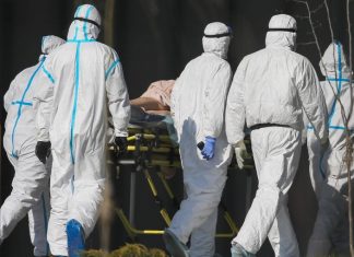 Число заразившихся коронавирусом в России за сутки возросло на 9 623