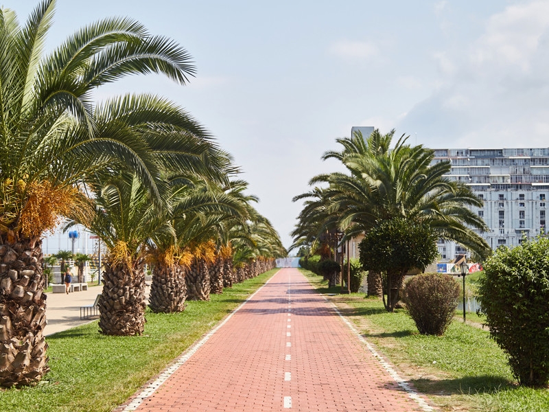 Грузия готовит "зеленые зоны" для приема в июле зарубежных туристов, в том числе россиян