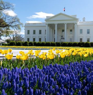 Личный помощник Трампа заразился коронавирусом