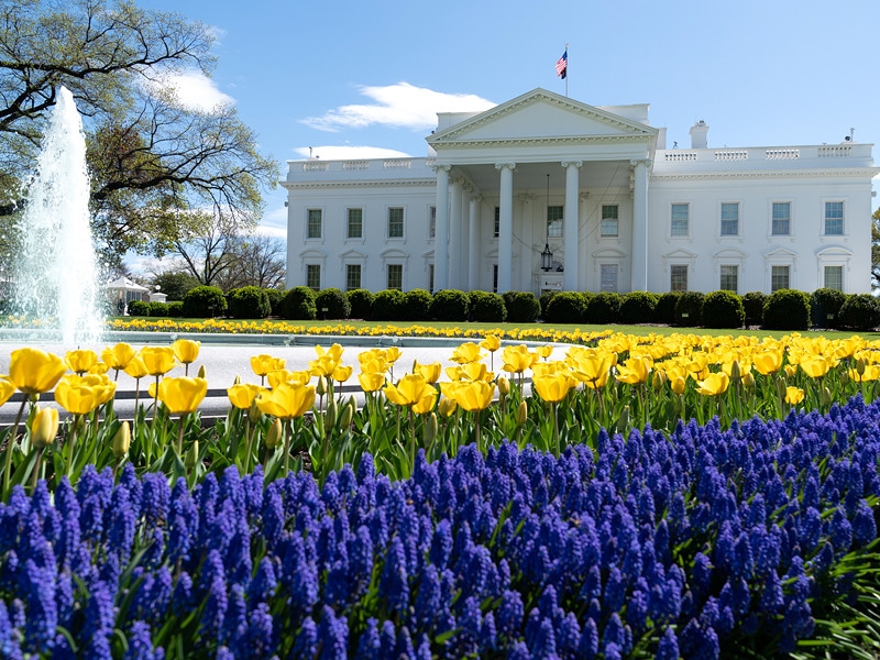 Личный помощник Трампа заразился коронавирусом