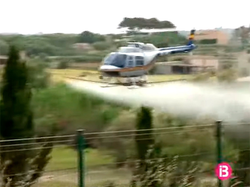 На опустевшей Ибице началось нашествие комаров, переносящих вирусы