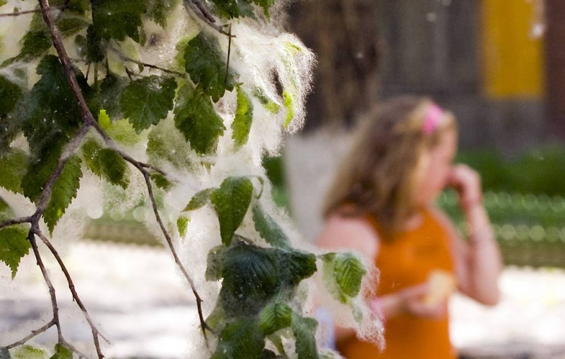 Роспотребнадзор разъяснил различия симптомов сезонной аллергии и коронавируса