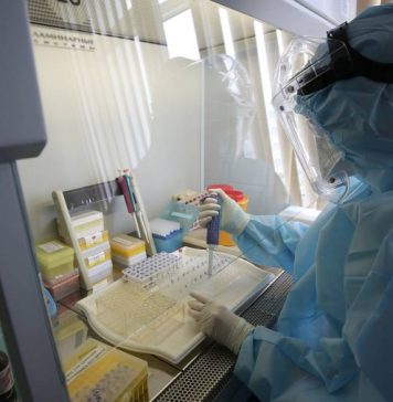 Центр Чумакова к началу августа завершит доклинические испытания вакцины от коронавируса