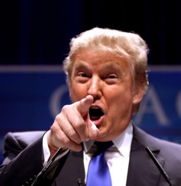 ЕС отверг идею Дональда Трампа о возвращении России в состав G7