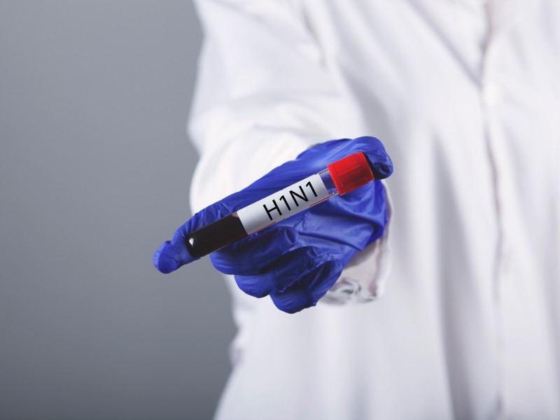 Китайские ученые обнаружили новый потенциально опасный штамм вируса свиного гриппа G4 EA H1N1