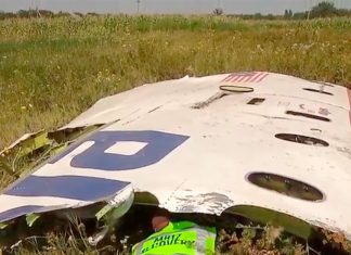 На процессе в Нидерландах обнародованы результаты анализов тел погибших членов экипажа сбитого на Донбассе лайнера