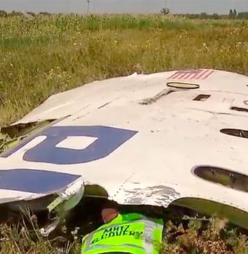 На процессе в Нидерландах обнародованы результаты анализов тел погибших членов экипажа сбитого на Донбассе лайнера