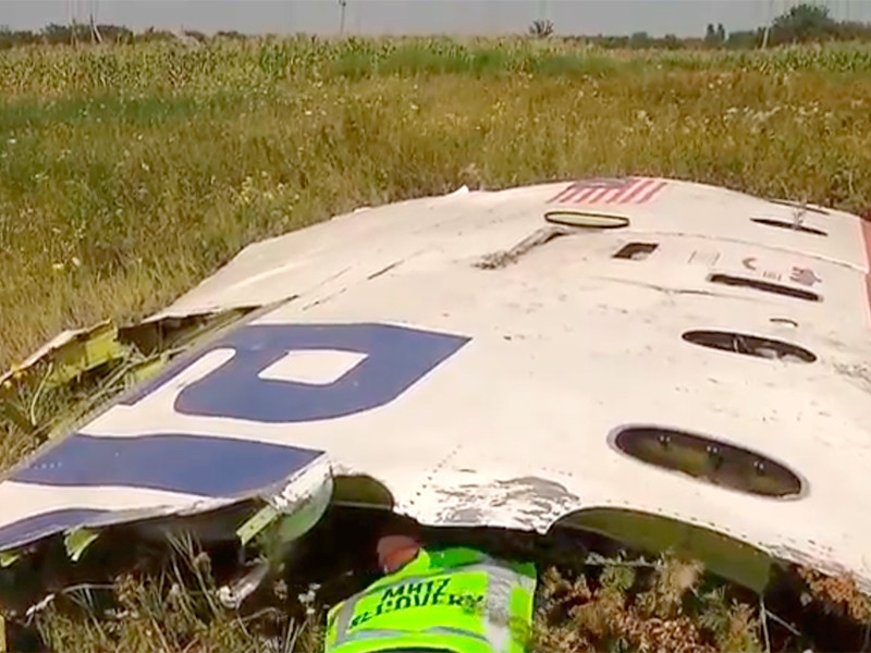 На процессе в Нидерландах обнародованы результаты анализов тел погибших членов экипажа сбитого на Донбассе лайнера